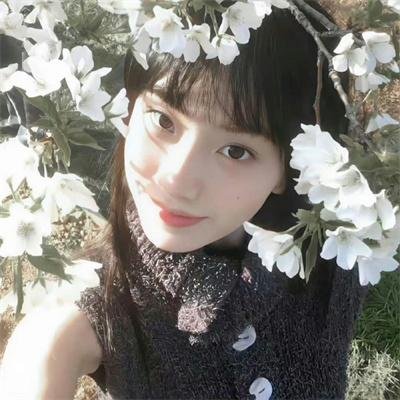 小犬与女孩